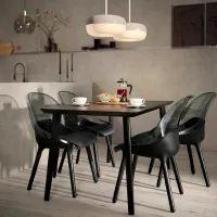 Кухонный стул Ikea Baltsar Ткань/ Черный Прозрачный photo 4