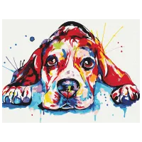 Картина по номерам BrushMe Радужный любимец RBS52198 40 x 30 cm / Горизонтальная