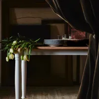 Кухонный стол зафиксированный Ikea Danderyd МДФ/ Белый photo 3