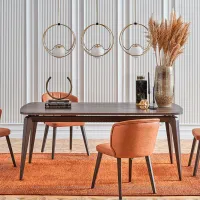 Кухонный стол зафиксированный Dogtas VENERA Fixed Dining ДСП/ Коричневый photo 2