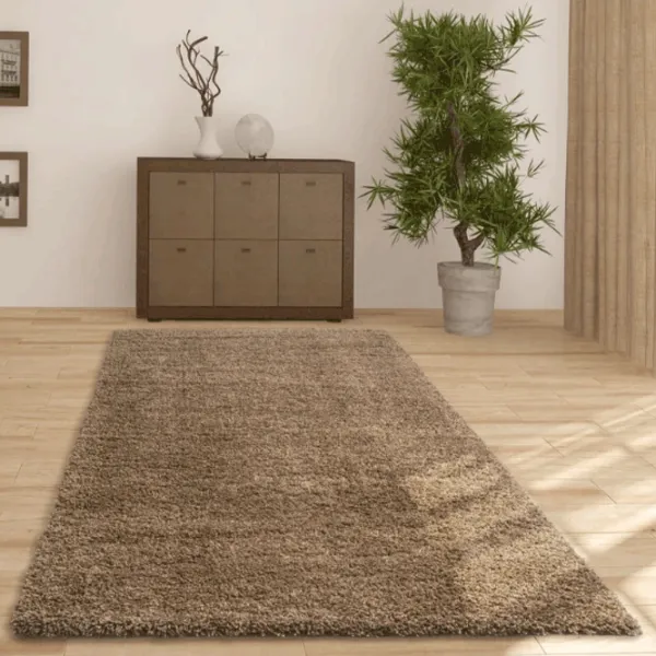 Ковер Covoare Ungheni Viva Коричневый / Полипропилен photo 3