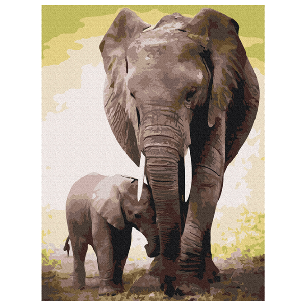 Pictură pe numere BrushMe Micul elefant RBS52150 40 x 30 cm / Verticală photo 1 Pictură pe numere BrushMe Micul elefant RBS52150 40 x 30 cm / Verticală photo 1