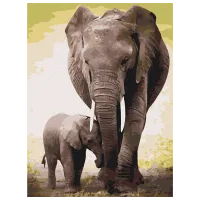 Картина по номерам BrushMe Маленький слоненок RBS52150 40 x 30 cm / Вертикальная