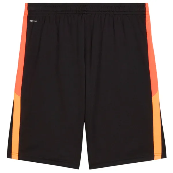 Pantaloni scurți pentru bărbați Puma Individualliga Training Shorts 2  XL / Black photo 5