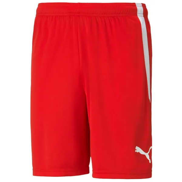 Pantaloni scurți pentru bărbați Puma teamLIGA Shorts  M / Red photo 1