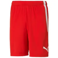 Шорты для мужчин Puma teamLIGA Shorts  M / Красный