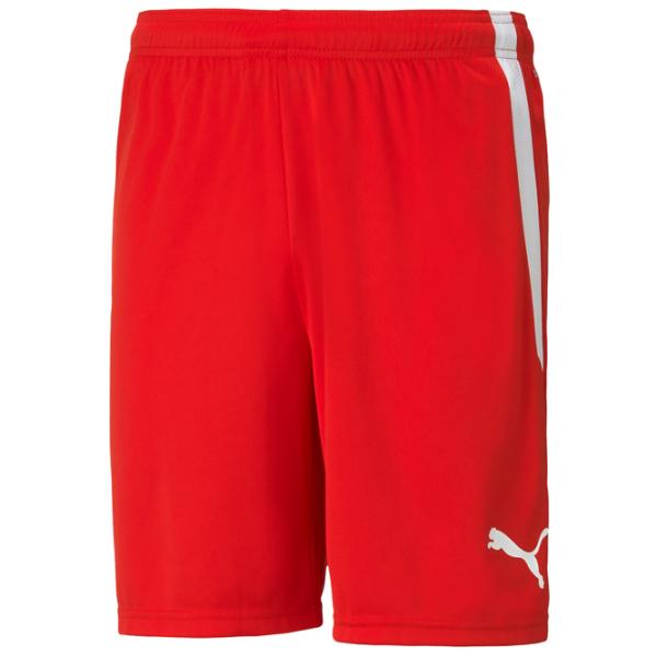 Pantaloni scurți pentru bărbați Puma teamLIGA Shorts  S / Red photo 1