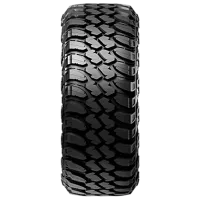 Anvelope Rydanz R08 265/70 R17 121Q All-season / Suv photo 2