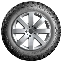 Anvelope Rydanz R08 265/70 R17 121Q All-season / Suv photo 3
