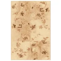 Covor Covoare Ungheni Premiera Beige / Lână