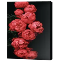 Картина по номерам Art Gallery Сочные пионы GX47220 50 x 40 см / Вертикальная