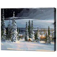 Pictură pe numere Art Gallery Noaptea la Polul Nord GX39972 50 x 40 cm / Orizontală