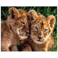 Картина по номерам Art Gallery Львята GX42865 50 x 40 см / Горизонтальная