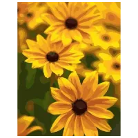 Картина по номерам Art Gallery Желтые цветы GX6623 50 x 40 см / Вертикальная