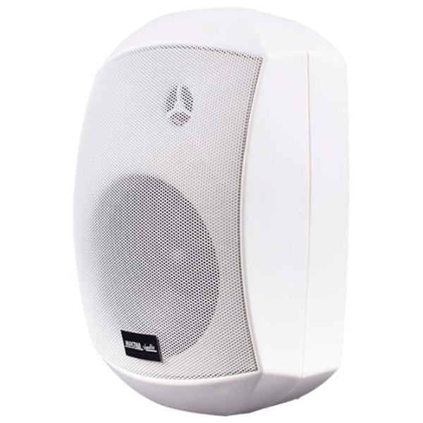 Difuzor Master Audio XB530W 80 W / 90 dB photo 1