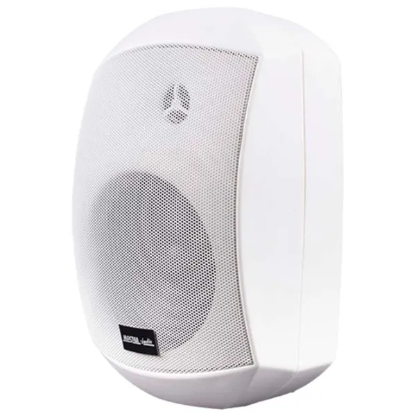 Difuzor Master Audio XB420W 60 W / 88 dB photo 1