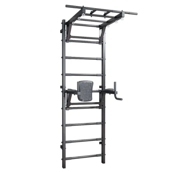 Spaliere gimnastice DSK 4670134106884  Black / Metal photo 1 Spaliere gimnastice DSK 4670134106884  Black / Metal photo 1