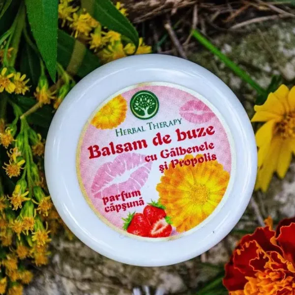 Бальзамы для губ Herbal Therapy Laboratories Gălbenele și Propolis  0.02л / Белый photo 2 Бальзамы для губ Herbal Therapy Laboratories Gălbenele și Propolis  0.02л / Белый photo 2