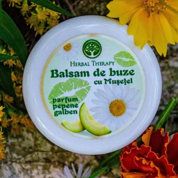 Бальзамы для губ Herbal Therapy Laboratories Mușețel  0.02л / Белый photo 2 Бальзамы для губ Herbal Therapy Laboratories Mușețel  0.02л / Белый photo 2