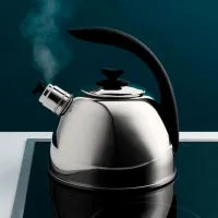 Ceainic BergHOFF Lucia 2.5l Oțel inoxidabil / Bachelit / Silver photo 3