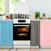 Aragaz Hansa FCMW59329 Pe gaz/ White/ Black photo 15