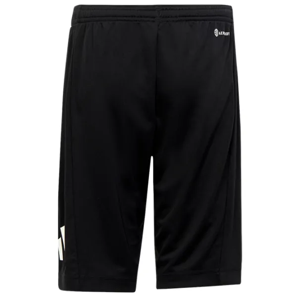 Pantaloni scurți pentru băieți Adidas Train Essentials Aeroready Logo Regular-Fit  / Black photo 2