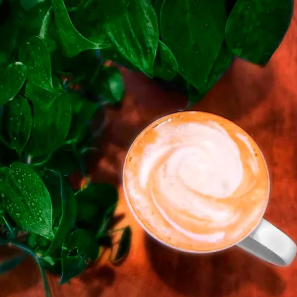 Cafea LAVAZZA Crema e Aroma Boabe / / 1000 g photo 5