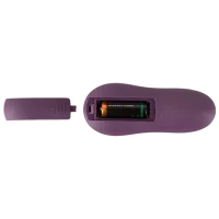 Vibrostimulator Sweet Smile Panty Purple photo 4