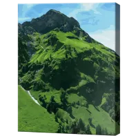 Картина по номерам Art Gallery Зеленый склон GX46080 50 x 40 см / Вертикальная