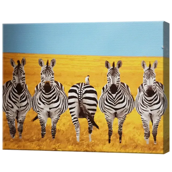 Картина по номерам Art Gallery Зебры в саванне GX22573 50 x 40 см / Горизонтальная photo 1 Картина по номерам Art Gallery Зебры в саванне GX22573 50 x 40 см / Горизонтальная photo 1