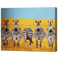 Pictură pe numere Art Gallery Zebre în savană GX22573 50 x 40 cm / Orizontală