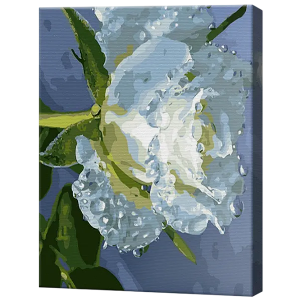 Pictură pe numere Art Gallery Roua pe petale GX39396 50 x 40 cm / Verticală photo 1 Pictură pe numere Art Gallery Roua pe petale GX39396 50 x 40 cm / Verticală photo 1