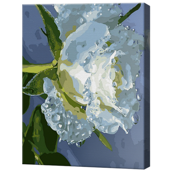 Pictură pe numere Art Gallery Roua pe petale GX39396 50 x 40 cm / Verticală photo 1 Pictură pe numere Art Gallery Roua pe petale GX39396 50 x 40 cm / Verticală photo 1