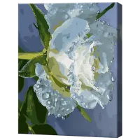 Картина по номерам Art Gallery Роса на лепестках GX39396 50 x 40 см / Вертикальная