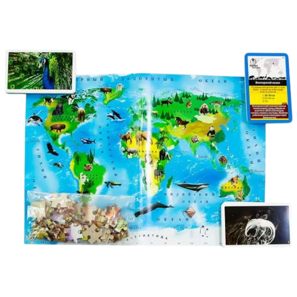 Joc de masă Danko Toys Animals of our planet 8+/ Dezvoltare photo 3