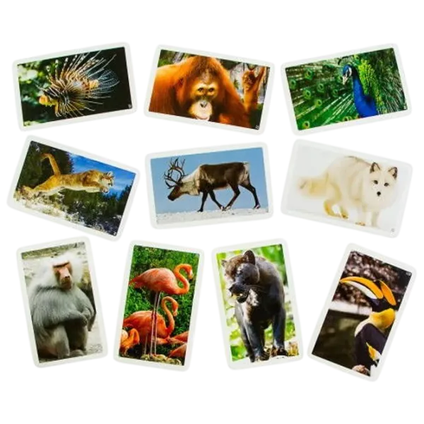Joc de masă Danko Toys Animals of our planet 8+/ Dezvoltare photo 4