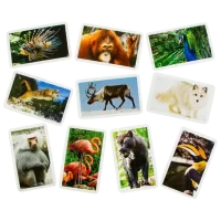 Joc de masă Danko Toys Animals of our planet 8+/ Dezvoltare photo 4