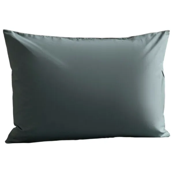 Față de pernă Issimo Home 8699379394623 Silver Blue photo 1