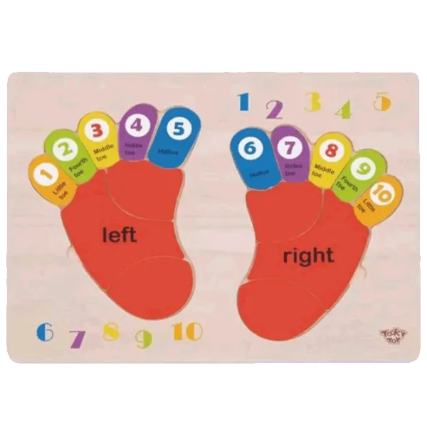 Puzzle Tooky Toy Insert Leg 3+/ Количество деталей: 16 photo 1