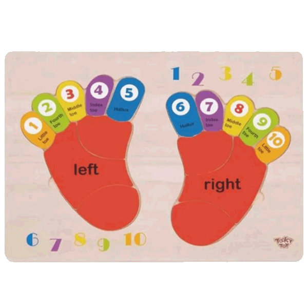 Puzzle Tooky Toy Insert Leg 3+/ Количество деталей: 16 photo 1