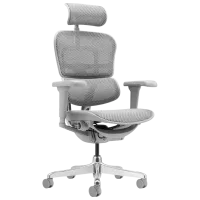 Fotoliu de birou ART Ergohuman Ultra Pânză, plasă acrilică/ Gray White