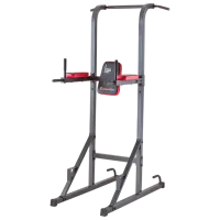 Antrenament de forţă Insportline Power Tower PT80  / / 