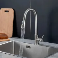 Смеситель для кухни Frap F 60991-5 Однорычажный / выдвижной / Латунь / Нержавеющая сталь photo 2