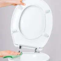 Capac WC Bemis Caserta Metal photo 3