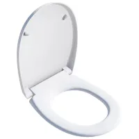 Туалетное сиденье Bemis Classic Металл