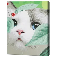 Картина по номерам Art Gallery Голубоглазая кошка GX32529 50 x 40 см / Вертикальная