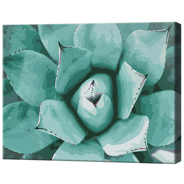 Картина по номерам Art Gallery Суккулент GX36045 50 x 40 см / Горизонтальная photo 1