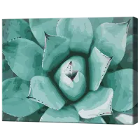 Картина по номерам Art Gallery Суккулент GX36045 50 x 40 см / Горизонтальная