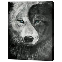 Картина по номерам Art Gallery Инь-ян GX44474 50 x 40 см / Вертикальная