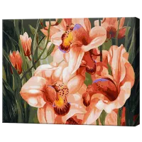 Картина по номерам Art Gallery Дикие орхидеи GX24619 50 x 40 см / Горизонтальная